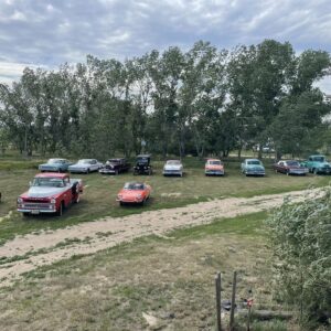 Family Friendly Audio Tour - Classic cars in a field