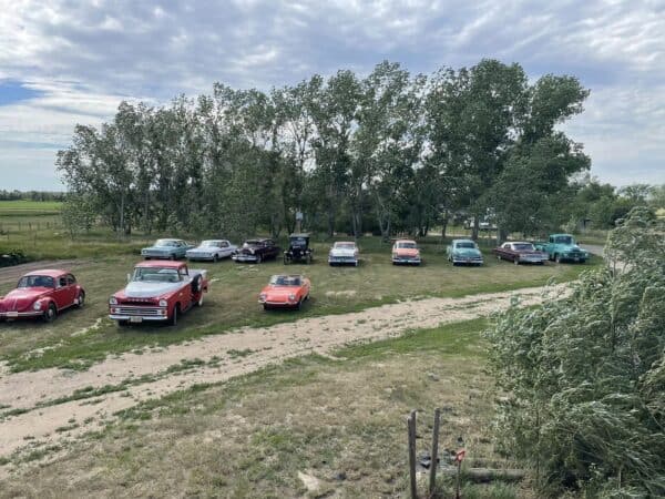 Family Friendly Audio Tour - Classic cars in a field